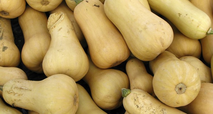 Pumpkins Butternut Squash