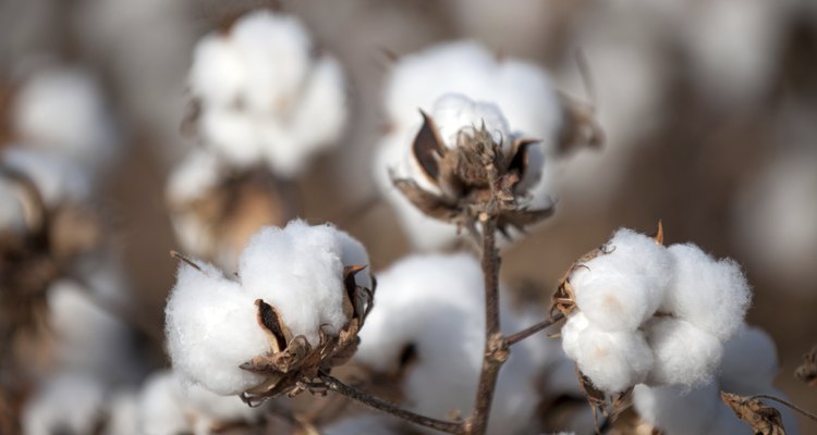 Cotton balls