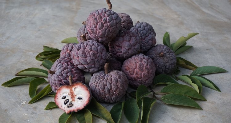 purple custard apple