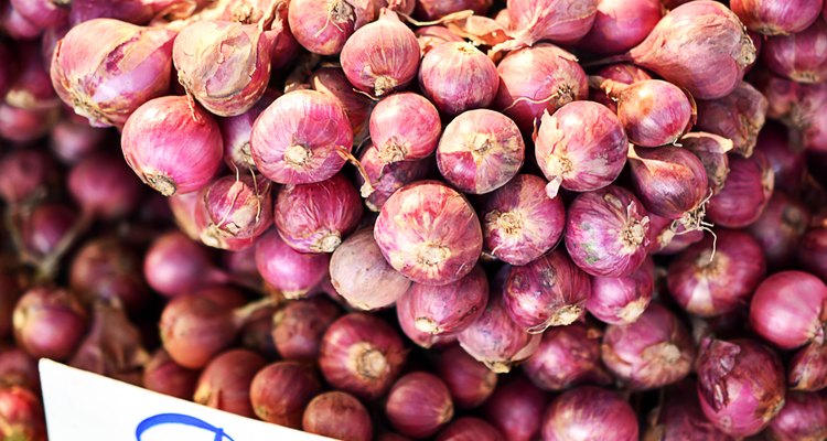 Shallot Plant, The shallot is a type of onion
