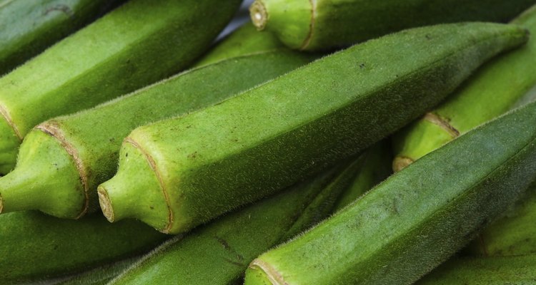 Okra
