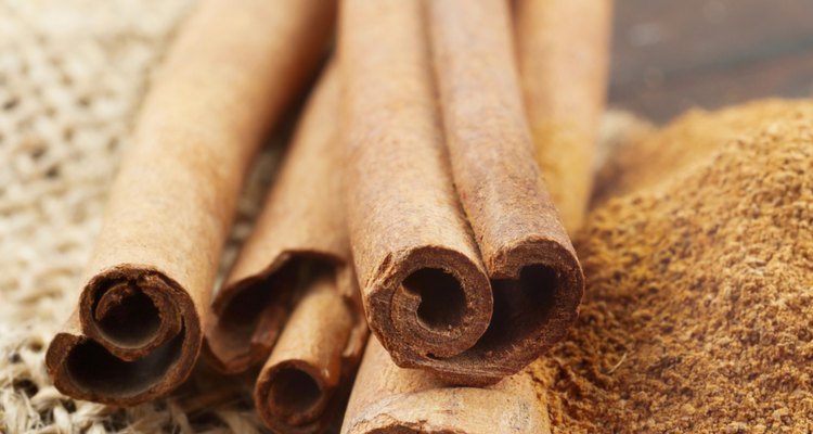 Cinnamon sticks and powder in scoop