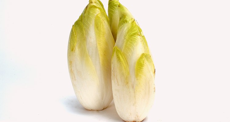 Fresh endives