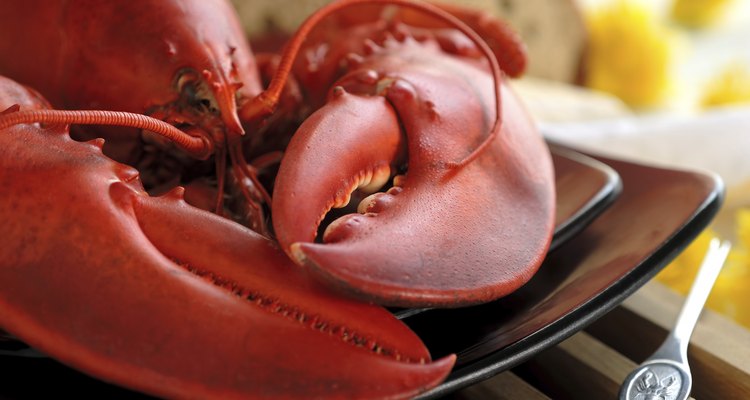 Boiled Atlantic Lobster