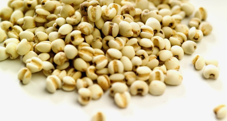 Rolled oats, close-up