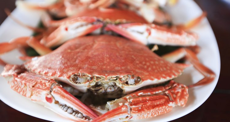 Blue crabs