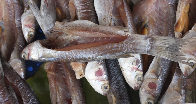 Dried salted fish