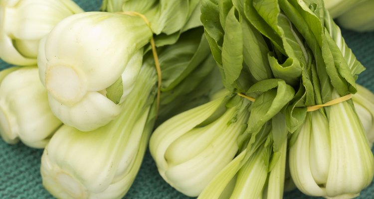 Bok Choy