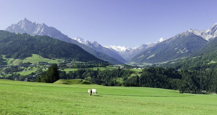 Green hillside in mountains