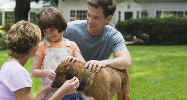 Family playing with dog outdoors