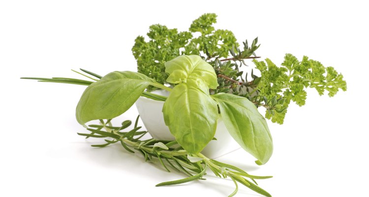 fresh herbs