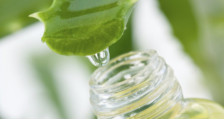 aloe