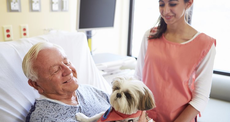 Pet Therapy Dog Visiting Senior Male Patient In Hospital