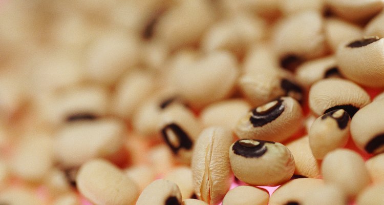 Hill of dried beans