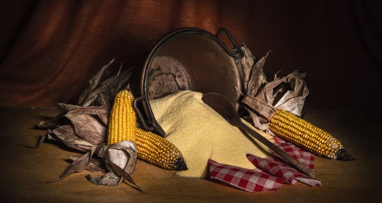Artistic Still Life with Corn Vegetables