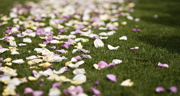 Colorful wedding rose petals