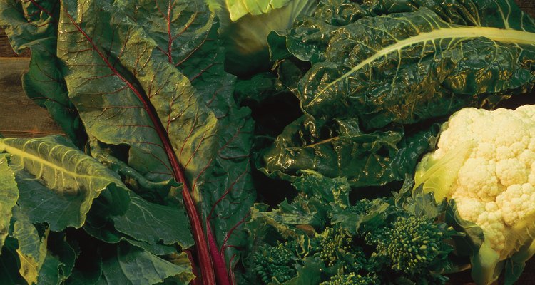 Assorted leafy green vegetables